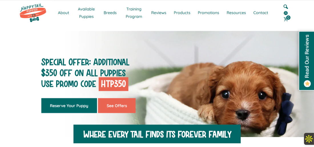 Conversion-focused website design — Inventive Media portfolio